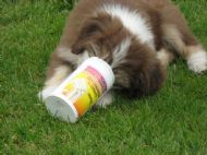 Super strength? don't think Chloe needs that!!!